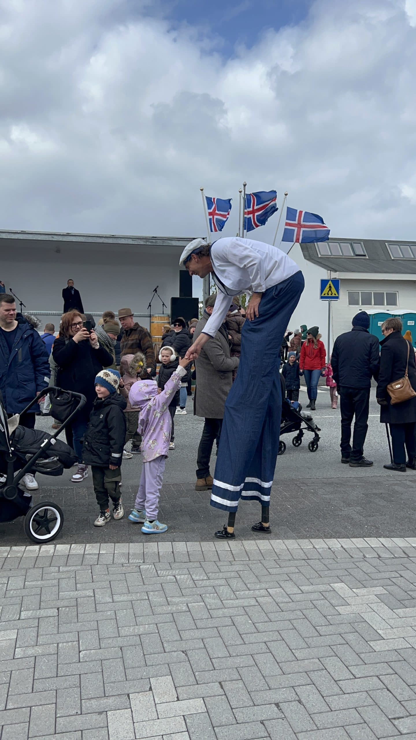 Sirkus Íslands image